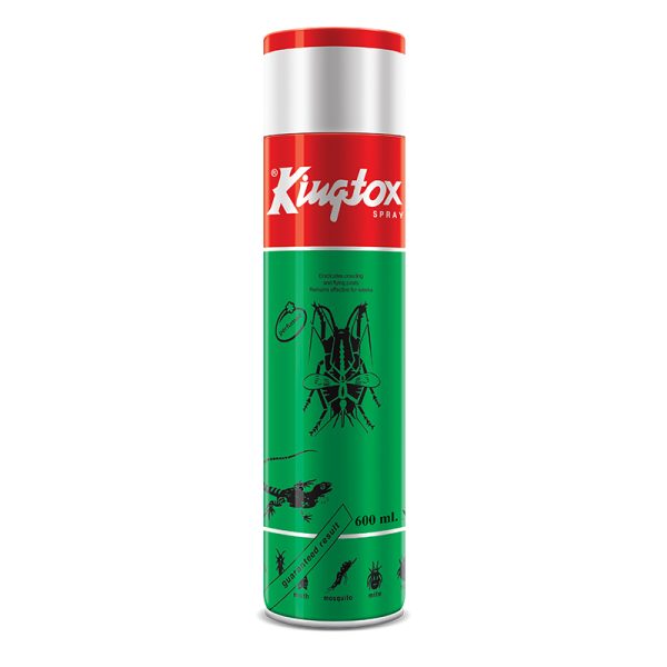 KINGTOX ALL INSECT KILLER (600 ML)