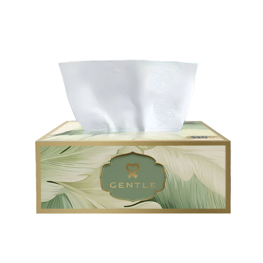 GENTAL TISSUE BOX B2