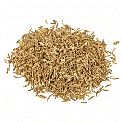 100G ZERA WHITE