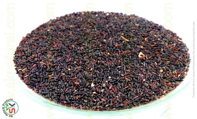 (MARHABA) TUKHM BALANGO 10GM