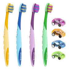 SHIELD BRUSH HIPO WITH TOY